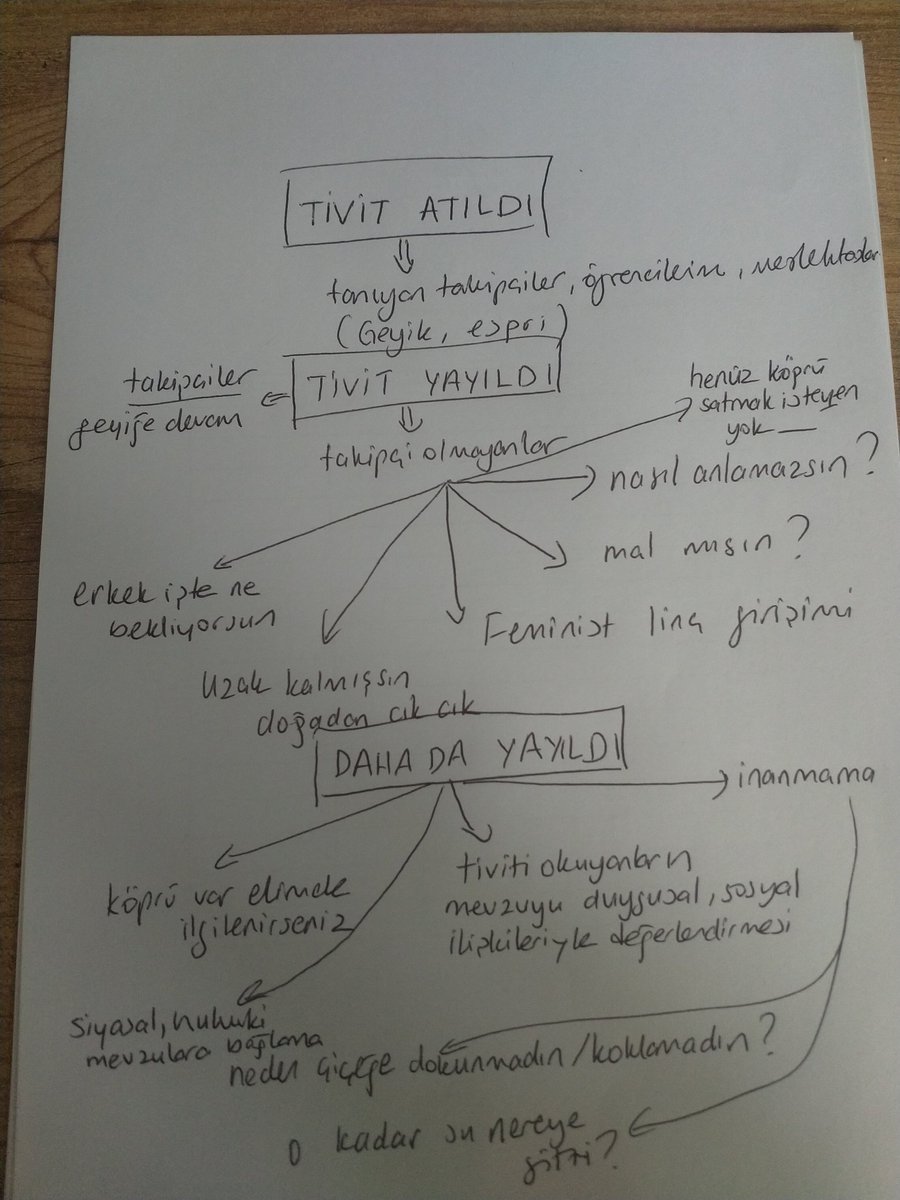 Timuçin Köprülü tweet media