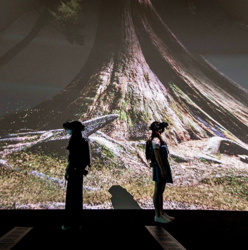 ArtSciMuseum's tweet photo. Feel the earth’s heartbeat, sense the pulse of nature and see how water moves inside a giant sequoia tree in We Live in an Ocean of Air by Marshmallow Laser Feast.
 
🎟: https://t.co/uH9L6DoMD7

#ArtScienceMuseum #WeLiveinanOceanofAirASM #marshmallowlaserfeast https://t.co/qem6ZlMhjX
