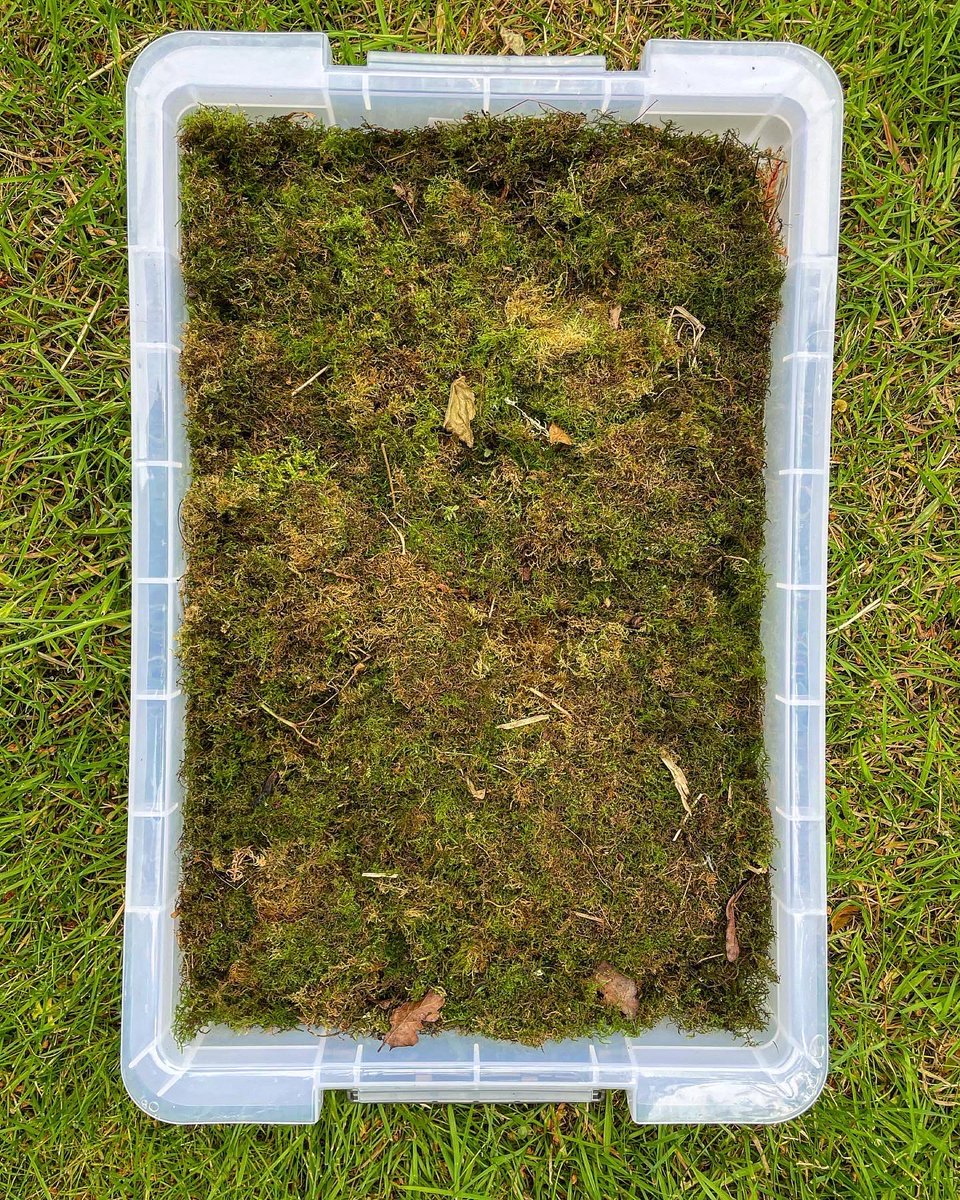 ThorpPerrow's tweet photo. Countryside live days with @YorksAgSoc - it’s great to see so many children inspired by all things nature #yas #countrysidedays #yorkshireagriculturalsociety #countryside #children #schools #nature #mindfulness #barefoot #breathwork #natureart https://t.co/C7G0pfUkRQ