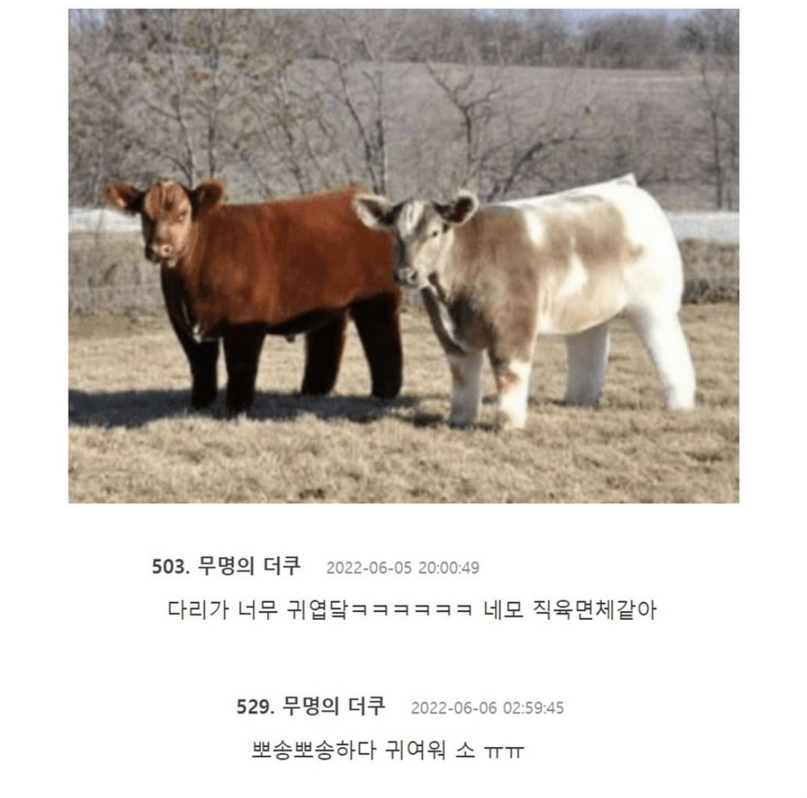 melikezzal's tweet photo. 소에게 샴푸,린스를 했다 https://t.co/87CN3C0GjL