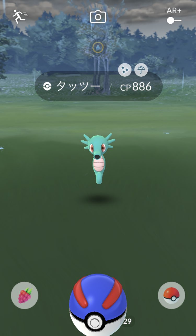 ｼｬｰﾒｲ ポケgo タッツー色違い グラードンは色違い出ず 泣 しかも2回逃げられました ポケモンgo T Co 5kiwft5rcy Twitter