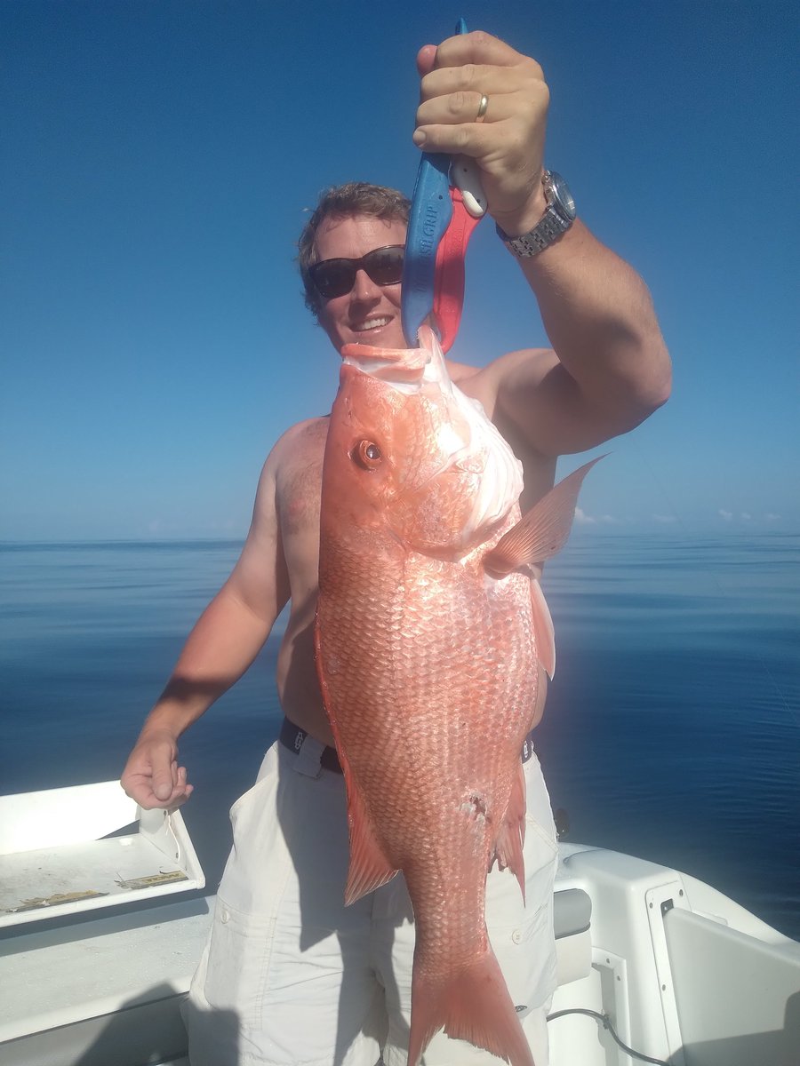 Gulf Assassin tweet media