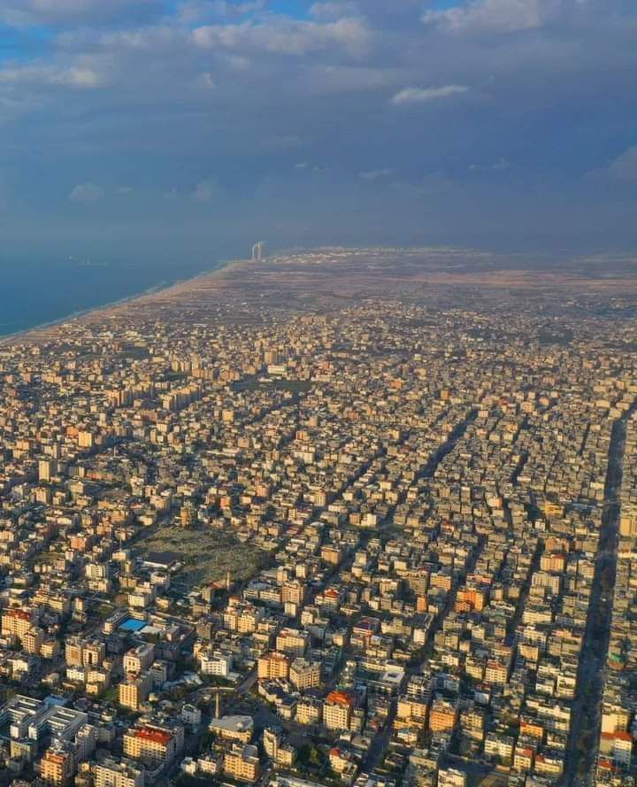 SARA 𓂆 tweet media