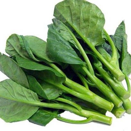 #NewProfilePic

คะน้าหนึ่งวันนะขอรับ