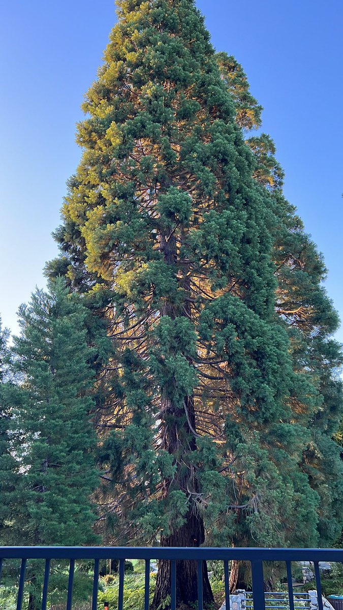 First in person staff retreat since 2019. Any guesses on location?