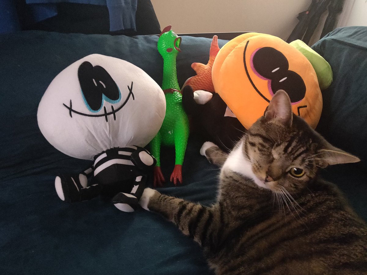 cg_omega's tweet photo. She loves to lay down by @_SrPelo_  's boys ever since their arrival weeks ago :) don't mind the chicken https://t.co/5pLqnMH7FC