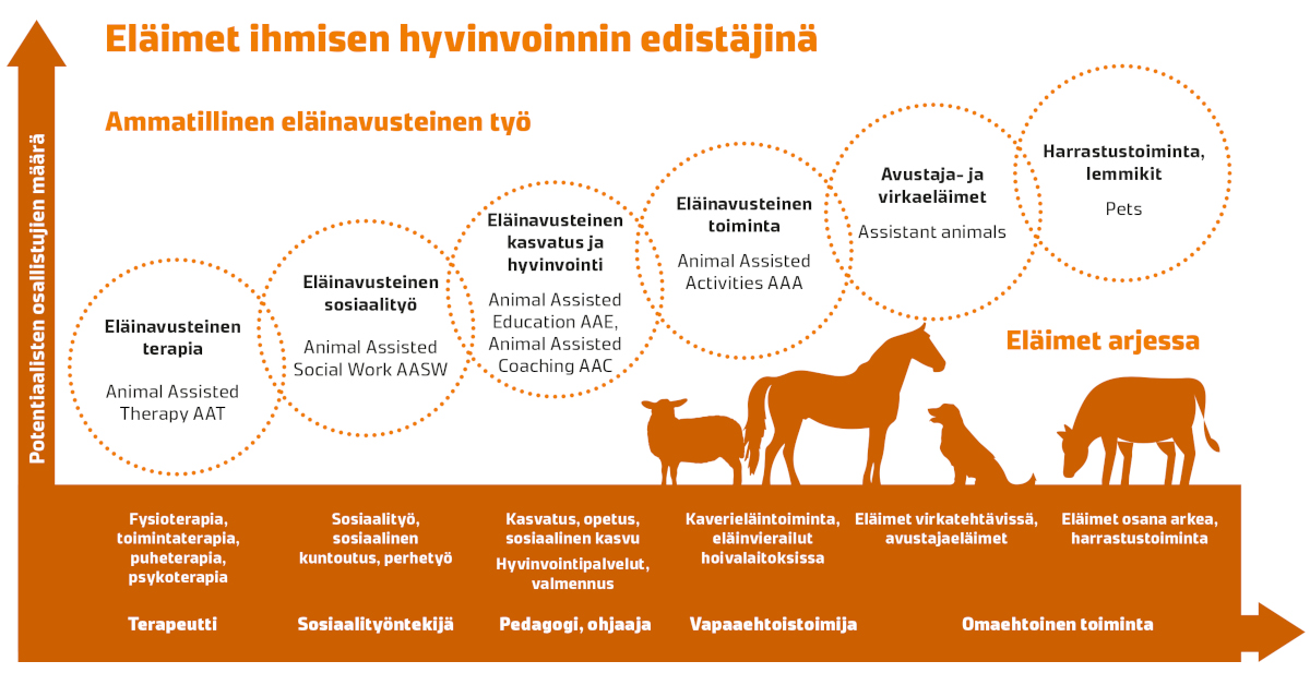 LukeFinland's tweet photo. Ammatilliset eläinavusteiset palvelut ovat yksi keino vastata kasvaviin hyvinvointi- ja terveyshaasteisiin. Tuoreessa politiikkasuosituksessa esitetään kuutta keinoa vastuulliseen   eläinavusteisuuteen hyvinvointialueiden ja kuntien palveluissa. Ketju 1/7.
https://t.co/TgLOj6xIW3 https://t.co/d0kdblP1dP