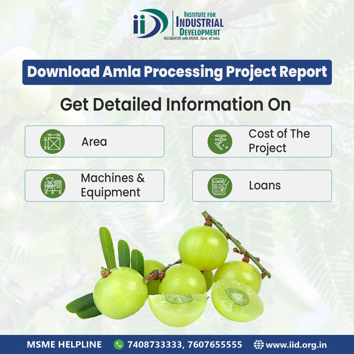 IIDIncubator's tweet photo. #Amla is full of five different tastes pungent, astringent, bitter, and sweet, and it keeps better health of mind and body. Download this #ProjectReport and start Amla Processing Business.
Visit- https://t.co/AGnx3jQMK2
#Gooseberry #IID #IIDForEntrepreneurs #IIDProjectReport https://t.co/q4ANQcZkl7