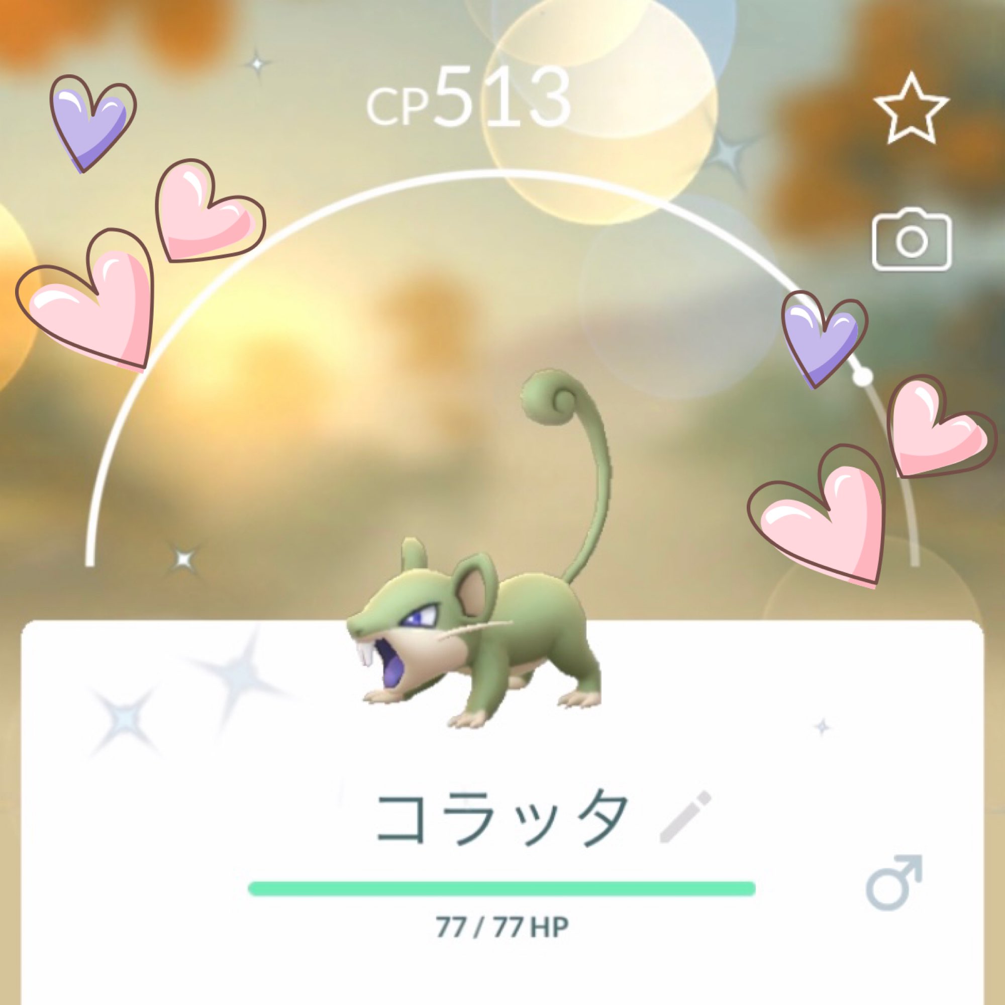 Morimori222 ポケモンgo 結局今回も色違いグラードンには 出会えませんでしたが モンボplusで色違いコラッタが 交換で強いズガイドスとグラードンが 来てくれました ポケモンgo T Co Qtf1wpqwf5 Twitter Morimori222 ポケモンgo 結局今回も色違いグラードンには 出会えませんでしたが モンボplusで色違いコラッタが 交換で強いズガイドスとグラードンが 来てくれました ポケモンgo T Co Qtf1wpqwf5 Twitter