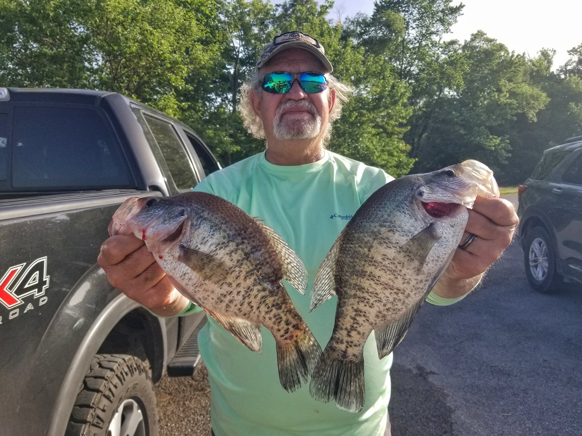 schoenherr_kyle's tweet photo. Can you catch fish in this heat? That's a question I get often! Answer is yes and quickly!!
#bnmpoles #roadrunnerlures #midsouthtackle #truturnhooks #harvestclean #muddywaterbaits #gammaline #madfishing #crappiefishing #crappie #fishing #summer https://t.co/5VCL5IYNWO