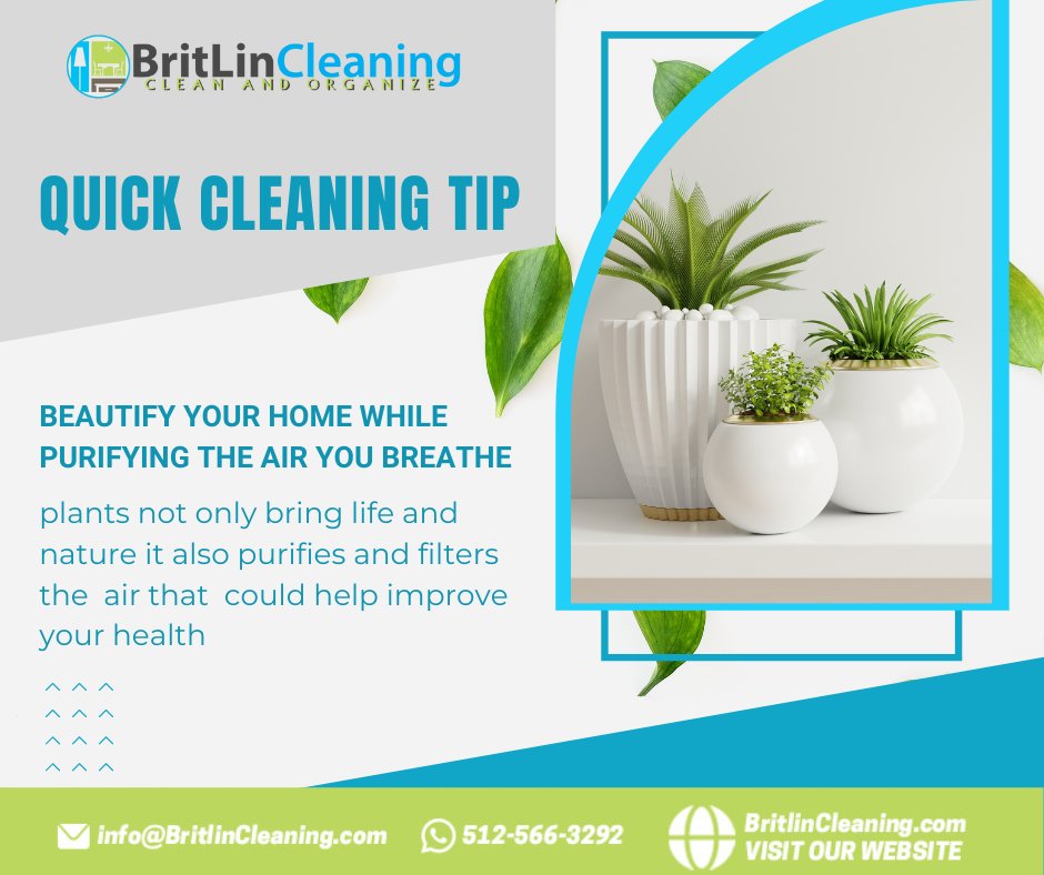 BritLinCleaning's tweet image. Plants provide a fresher atmosphere - so do our cleaning services! 💐 😊 Contact BritLin Services today for quality cleaning services you can trust!
Call us at 512-566-3292 or visit britlincleaning.com