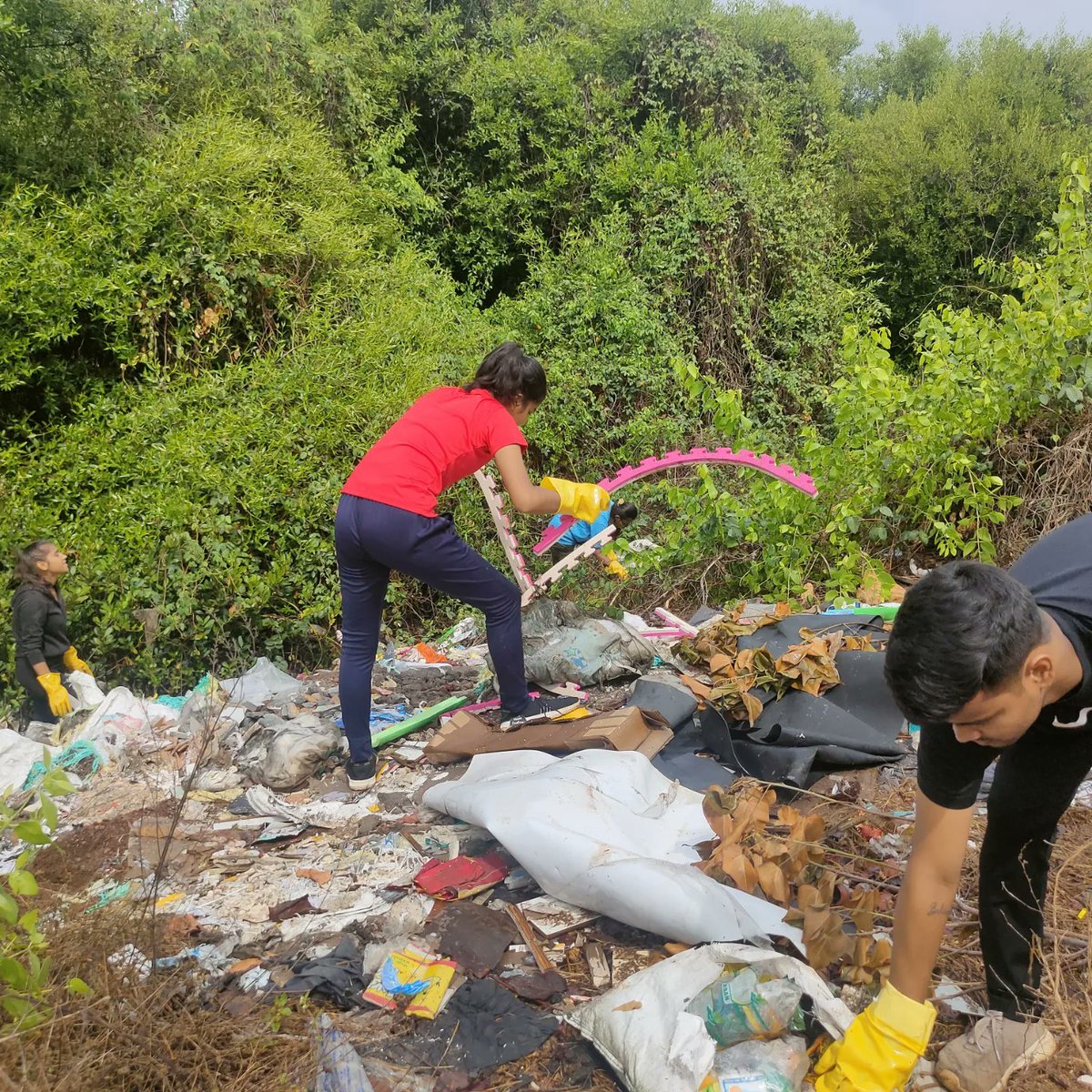 kapithra's tweet photo. Are the Mangroves &amp; Wetlands in Ghansoli, Navi Mumbai turning into garbage landfills? ☠️ Joined Clean drive by @withthemforthem Pls take action on garbage dumping before it becomes a bigger problem @NMMConline @NMMCCommr ☘️🌿🌱 #mangroves #wetland #navimumbai #NatureLover https://t.co/KS7PDAz23g