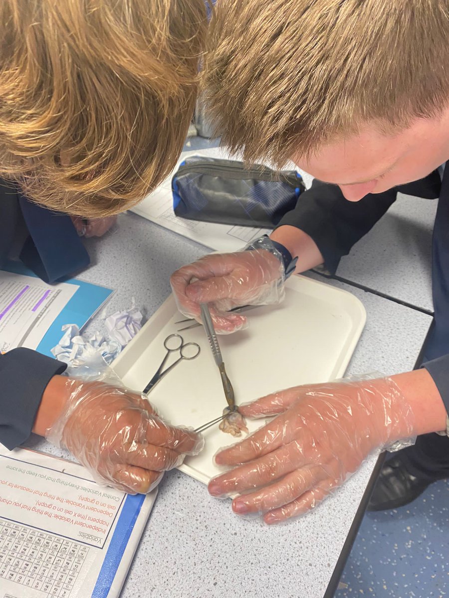 UHHSchool tweet media