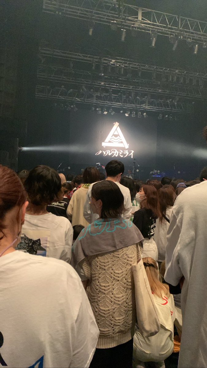 fxxkin_asp's tweet photo. チッタ https://t.co/oql8dTs2GL
