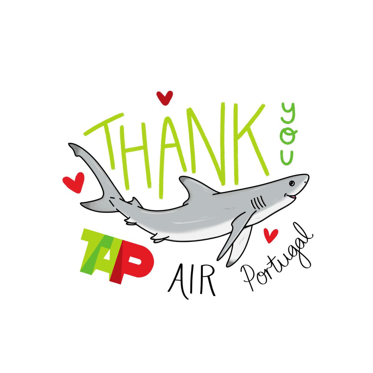 THANKS <a href="/tapairportugal/">Claim Department Tap Air Portugal</a> for not shipping #sharkfin.🦈💚❤️You're amazing and you help convince other airlines to do the same!👏Like <a href="/KenyaAirways/">Official Kenya Airways</a>, you are showing responsibility for our marine ecosystems and are an honourable co-host✈️to book with to fly to the #UNOceanConference