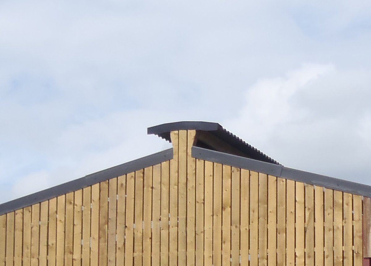 GHConstruction's tweet photo. NEW HEAT STRESS BLOG!
Choosing the right building to help reduce heat stress in your herd!🐄
Building design is very important for maximising animal comfort and to help avoid heat stress in the warmer months.☀️

Read the full blog at
https://t.co/HUUrsSyDj3 https://t.co/NzbfgJHdEq