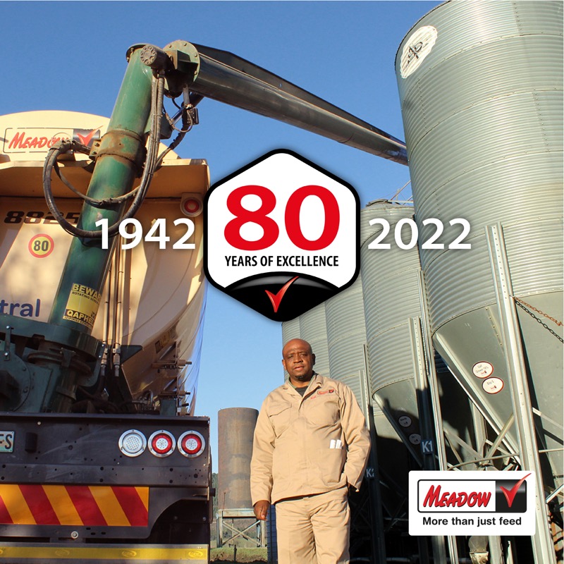 foodformzansi's tweet photo. For the past 80 years, Meadow Feeds has been supplying safe, high-quality feed to the generations of farmers who bring wholesome meat, milk and eggs to your table. Congratulations to Meadow Feeds for reaching this milestone!
#80YearsOfExcellence https://t.co/ZHzrEuxxIf
