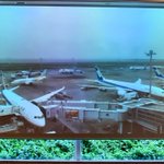 ツイートに含まれる画像