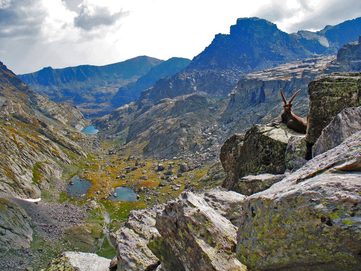 Allibert Trekking tweet media