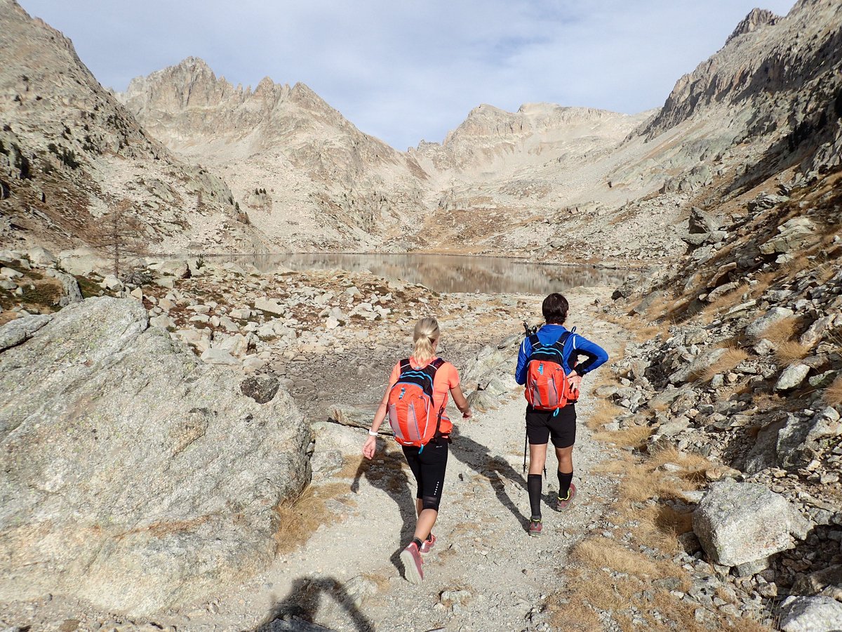 Allibert Trekking tweet media