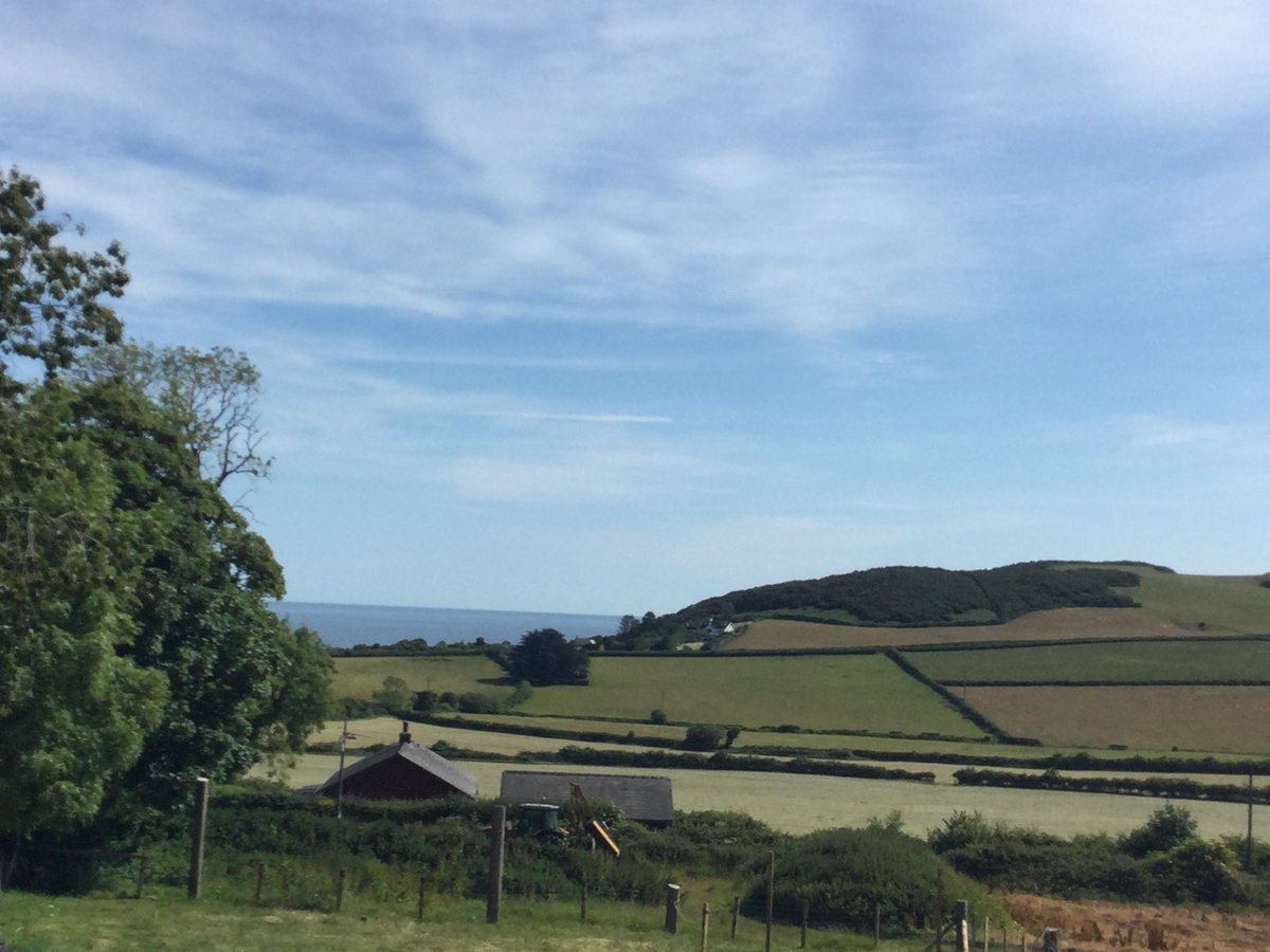 OLWPrimary tweet media