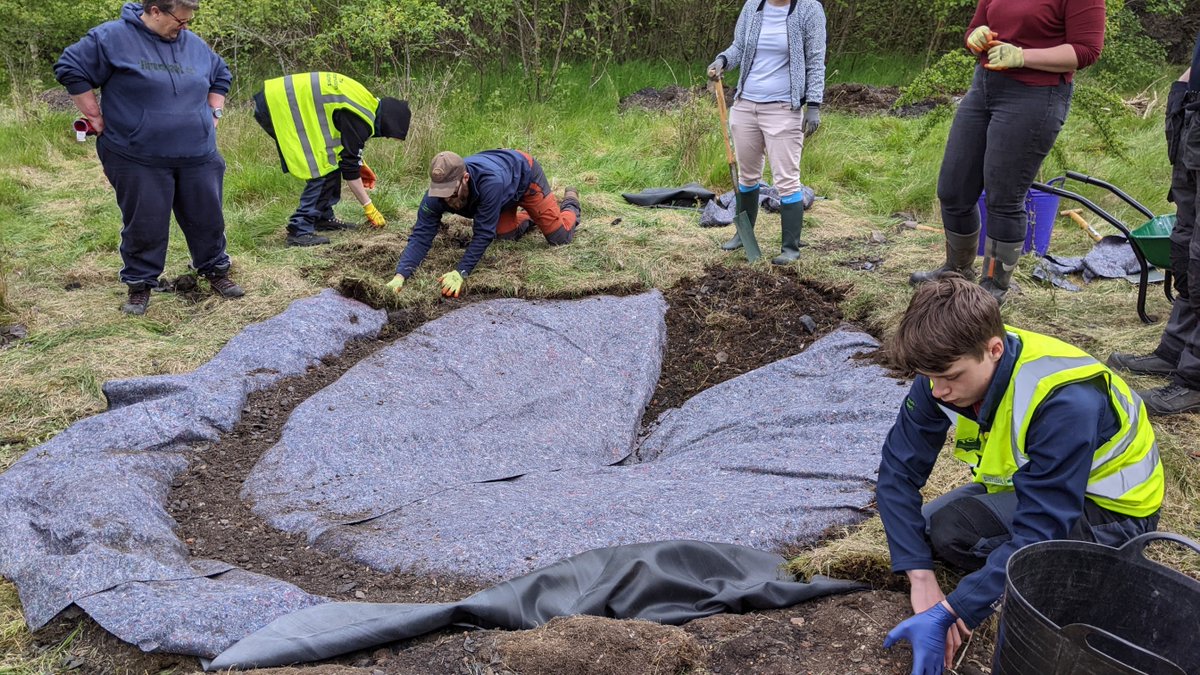 froglifers's tweet photo. Our #ComeForthForWildlife team enjoyed a good few sessions with volunteers at #KinneilLocalNatureReserve creating a brand-new pond. Everyone worked hard & we managed to complete the pond in 3 sessions! Well done to all who helped! 🐸 @kinneil @TCVScotland #falkirkexplored https://t.co/M9V1K9ah0Z
