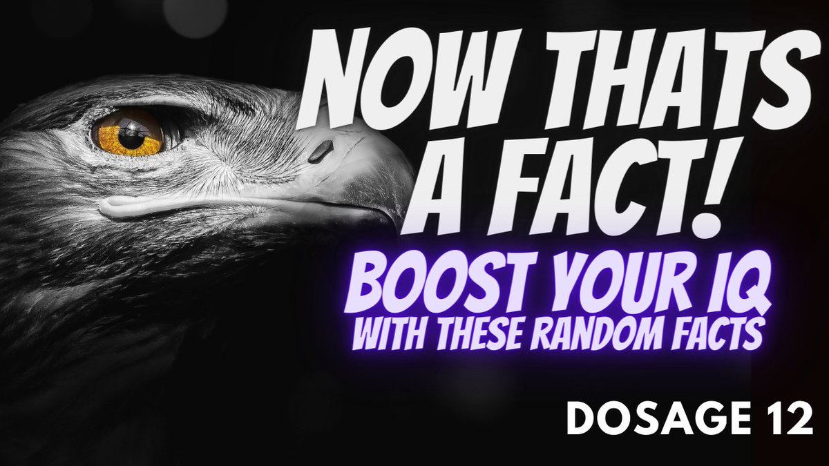 Byll Choudry tweet media