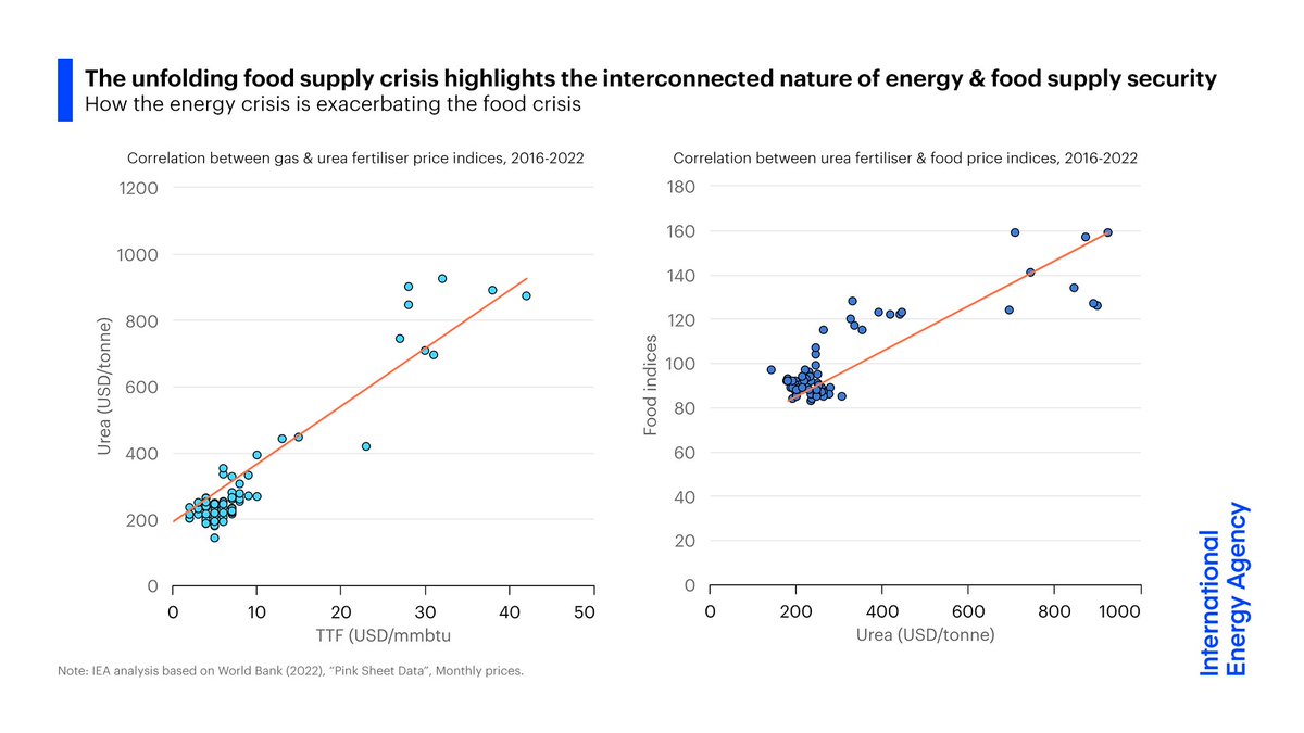 The world's energy and food supply chains are closely interlinked, and Russia's invasion of Ukraine is exacerbating a food crisis that was already under way

Check out our new commentary exploring some of these dynamics➡️iea.li/39nGcUY