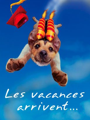 Devatantra's tweet photo. Bientôt les vacances tant attendues 🔆 - https://t.co/MEzJMpYEQo https://t.co/RfVulbsGeC