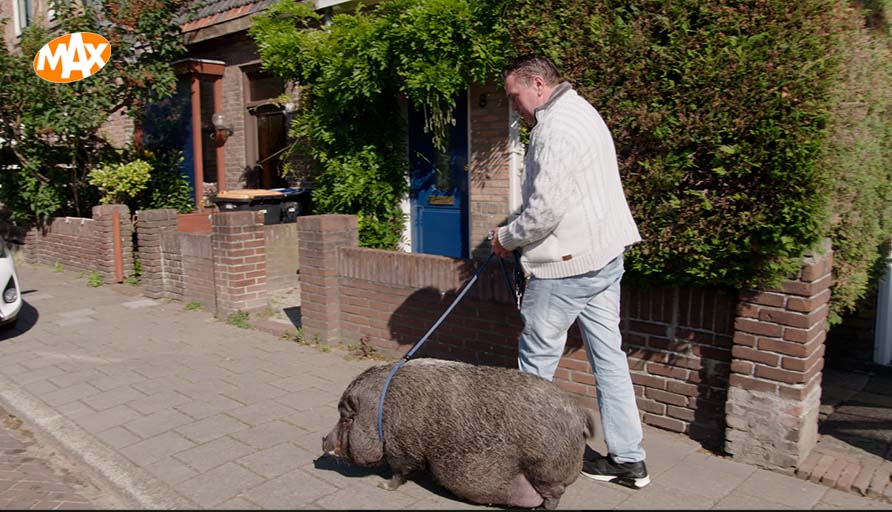 🐷 Waar ligt de grens in het vermenselijken van ons huisdier? 

In de vierde aflevering van Hollandse Zaken staat onze grote liefde voor huisdieren centraal: schieten we door in die liefde?

📺 Hollandse Zaken: Maakt dierenliefde blind? NU op NPO 2.
