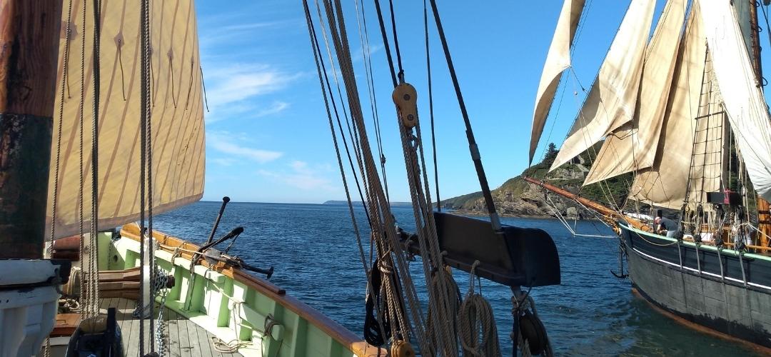 EcoClipper's tweet photo. “Calm sailing doesn’t come from calm waters, it comes from having a good navigator; a good crew and a good vessel.”

― Anthony T. Hincks.

📸Bessie Ellen and Pellew, @JessClay_Sail 

#SailingQuotes #SailCargo #TallShips #Sailing https://t.co/6DXY4HTr0j