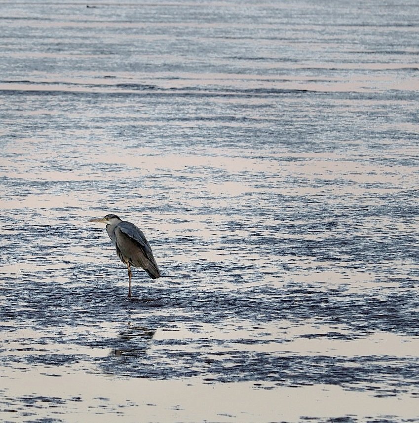 Esther Parkinson tweet media