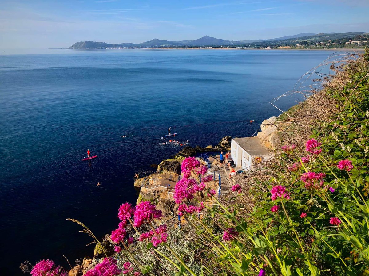 margaretrmoore's tweet image. Since you’re likely here for @dalkeybookfest, you should have a swim here, at the #dalkey Vico bathing spot. This is how it looks this morning. 
🤳🏻#barrymoore (not on twitter 😂)