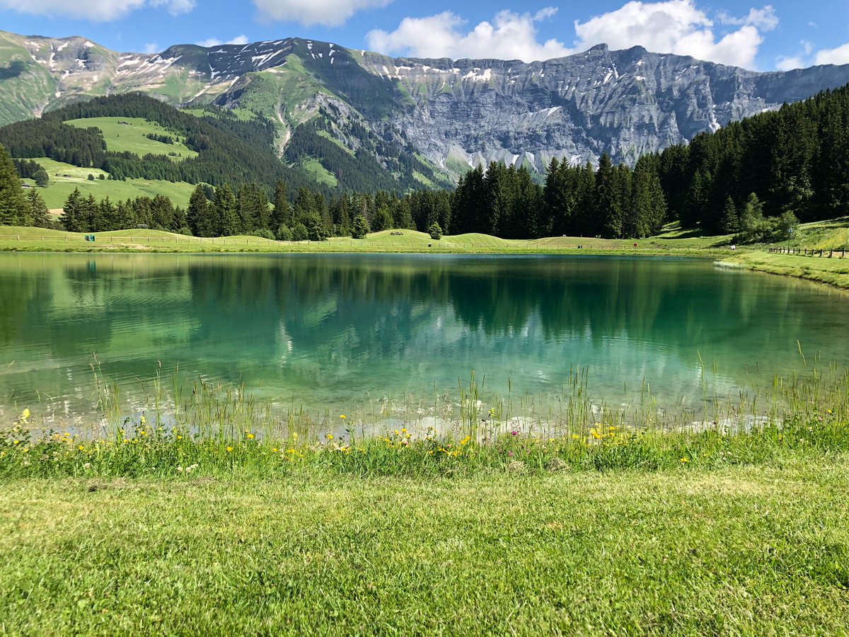 IEEP_eu's tweet photo. 1️⃣ week to go until the publication of the 🇪🇺 Nature Restoration Law proposal!

Being the first set of legally-binding restoration targets worldwide, this is an unmissable opportunity to step up action on #EUBiodiversity 🦋

#RestoreNature #ForNature https://t.co/4wFU1fZNiE
