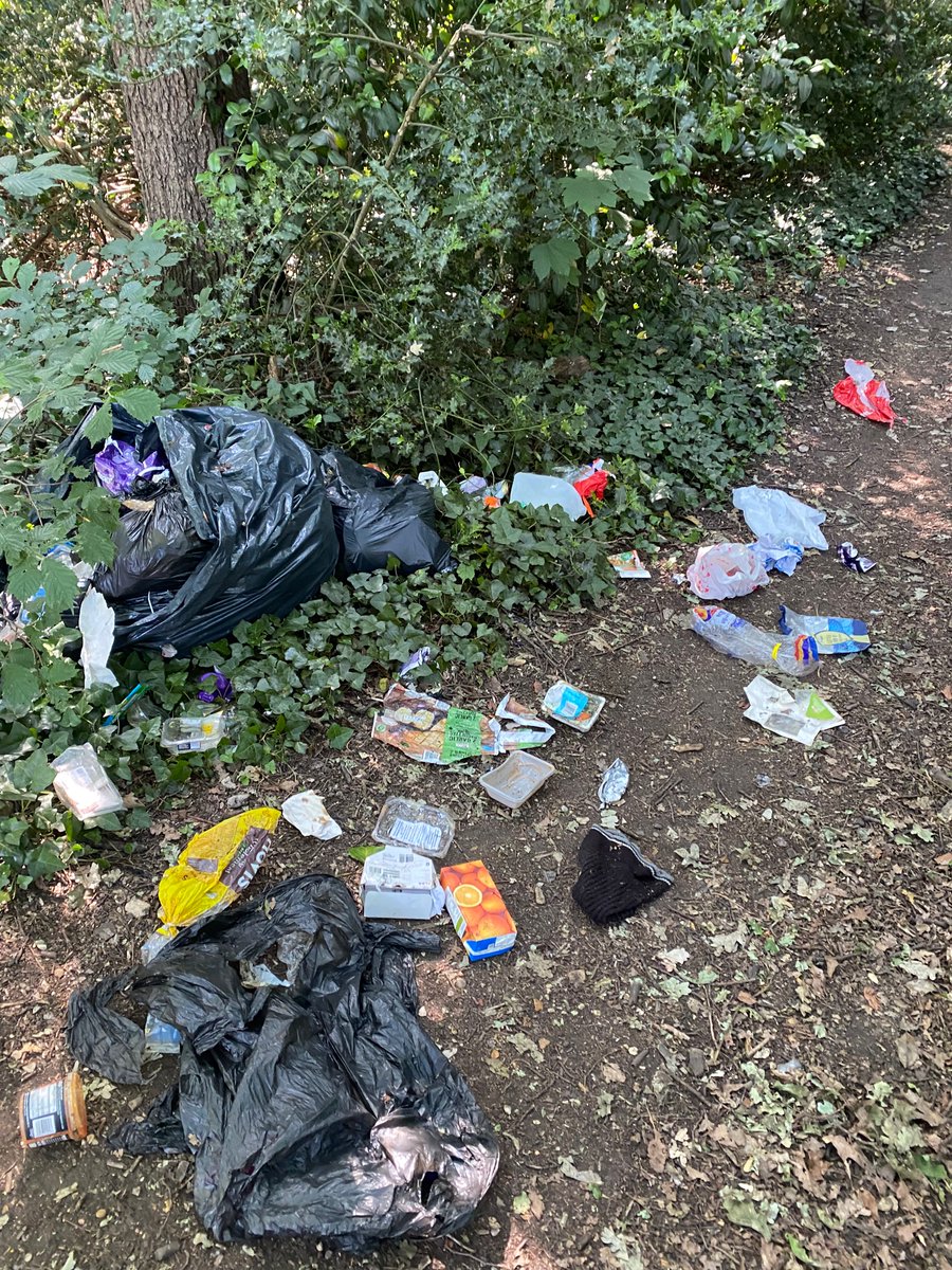Hello <a href="/CoLEppingForest/">Epping Forest</a> someone has dumped two big bags of rubbish at the entrance of wanstead park Blake Hall Road entrance. Please can you clear away? Many thanks.