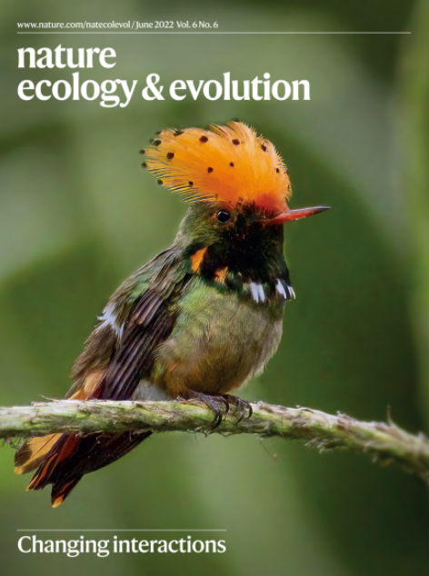 Paper on #ClimateChange impacts on plant-hummingbird interactions by <a href="/JesperSonne1/">Jesper Sonne</a> et al. featured on the frontcover of <a href="/NatureEcoEvo/">NatureEcoEvo</a> this month👏 The stunning photo is by Jesper Sonne as well🐦Read more: nature.com/natecolevol/vo… #biogeography #ecology