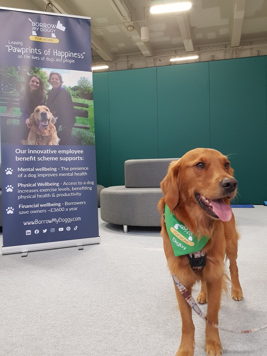 Looking for cuddles? Visit BorrowMyDoggy at the Wellbeing Village, pet one of these puppies and explore how this unique initiative supports staff mental, physical and financial wellbeing. #FestivalofWork