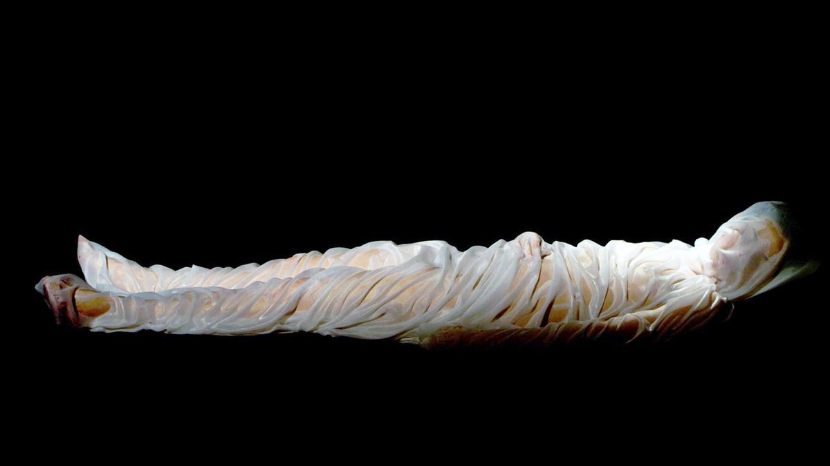 HOY! se presenta dentro de la Sesión 8 de cortometrajes a concurso del <a href="/FestivalHuesca/">Huesca Film Festival</a>: LECCIONES SOBRE EL USO INCORRECTO DE LOS OBJETOS de Alicia Segovia Juárez #Mexico. En el <a href="/teatroolimpia/">Teatro Olimpia HU</a>.

Disponible online hasta el 18 de junio.
#DiplomaciaCulturalMX

huesca-filmfestival.com/events/sesion-…