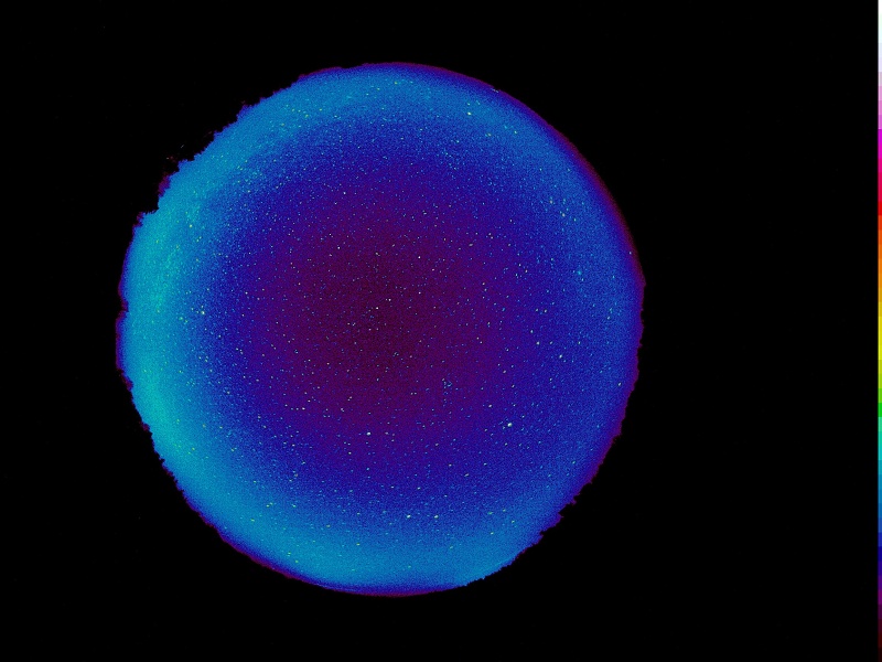 Připravili jsem přednášku o podyjském nebi pro školáky. Chcete ji i ve vaší škole? Dejte nám vědět. Více info na nppodyji.cz/poto2022