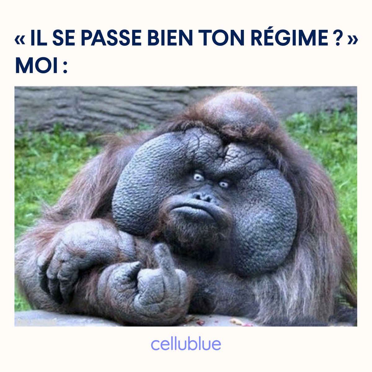 #Memecredi - Qui aurait bien envie de répondre ça à cette question ? 😅