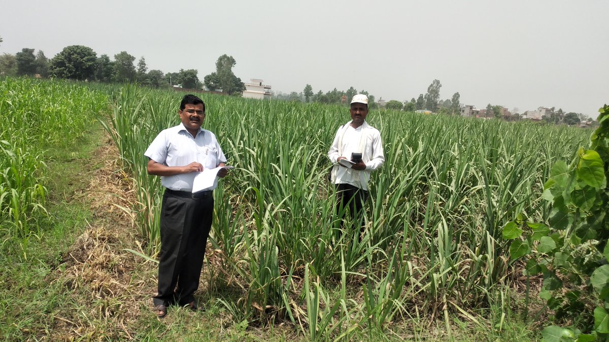 sachivnajibabad's tweet photo. Cane survey check village alawalpur and khatai society najibabad by secretary Dr.V.K.Shukla ccdu najibabad https://t.co/EwRyhKh7SY