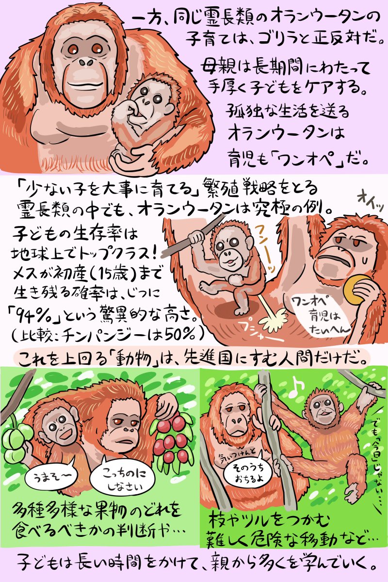 ゴリラやハムスターなど動物界の 母親事情 を描いた図解がすごく興味深い 適当たったり熱心だったり Togetter