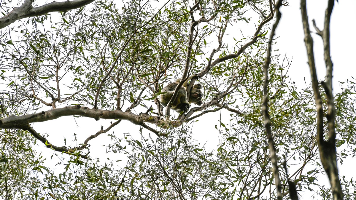 Jack Board tweet media