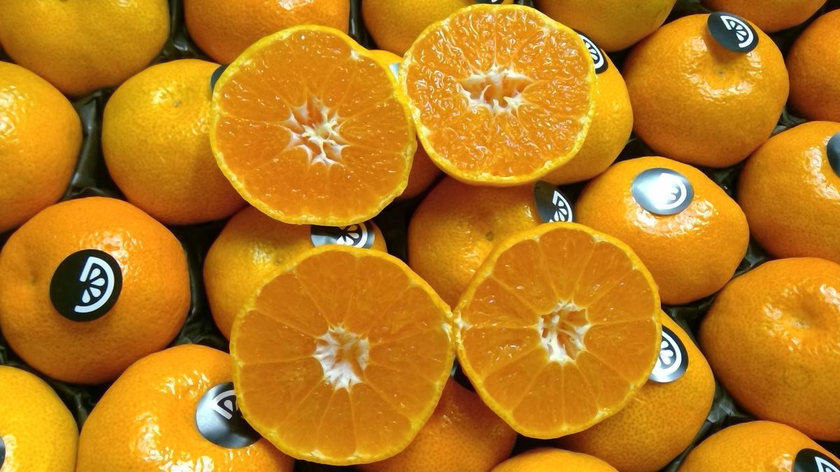 Pacific Produce tweet media