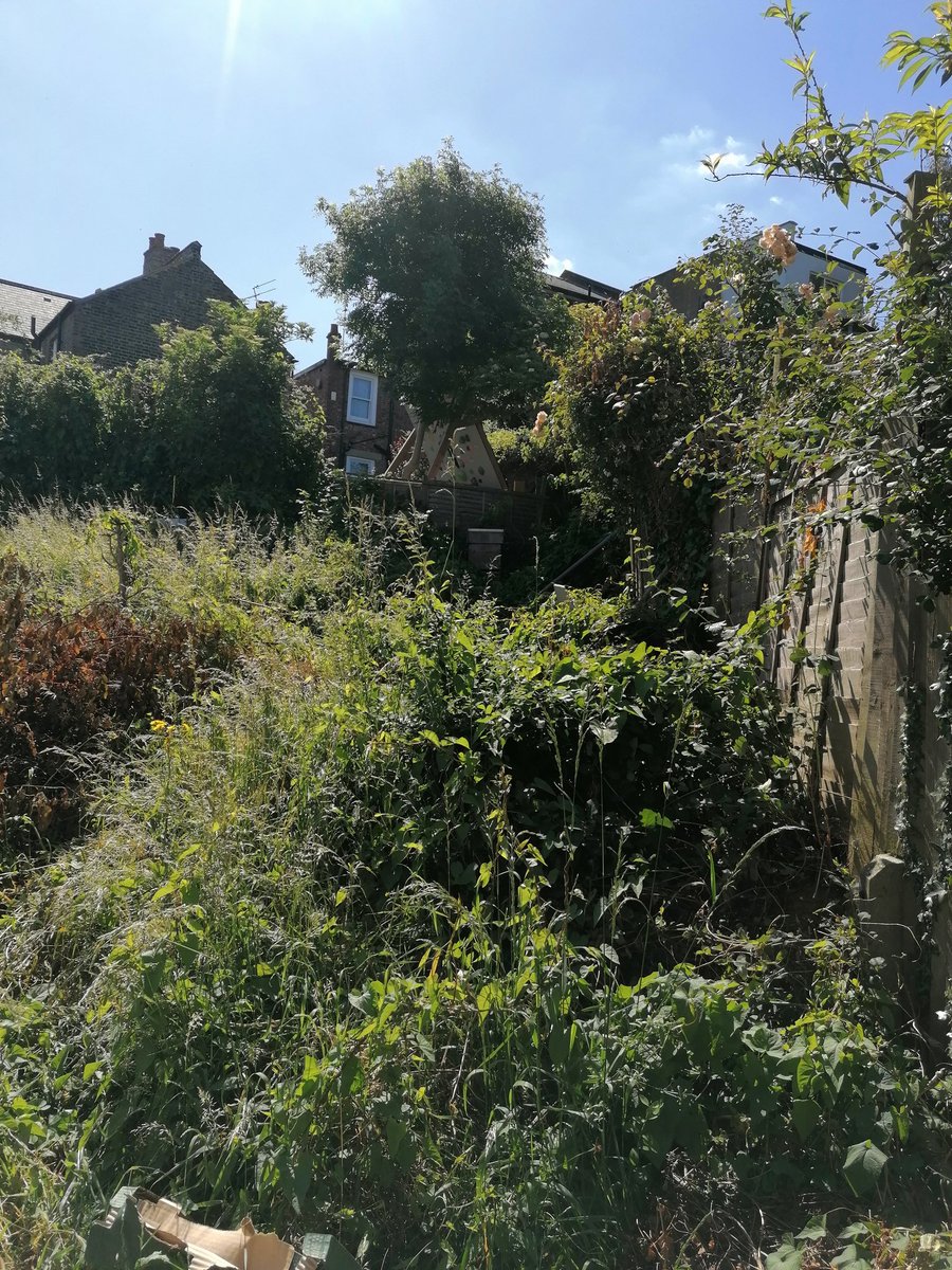 <a href="/elthambees/">Colin Edwards (Elthambees)</a> 
Spot the hives 😂😂