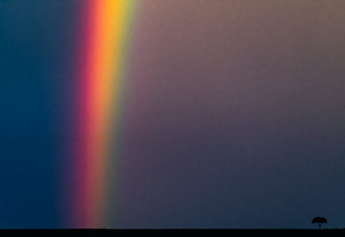 'Morning Blues' by Sushil Chauhan entered in aid of <a href="/SheldrickTrust/">Sheldrick Wildlife Trust</a>