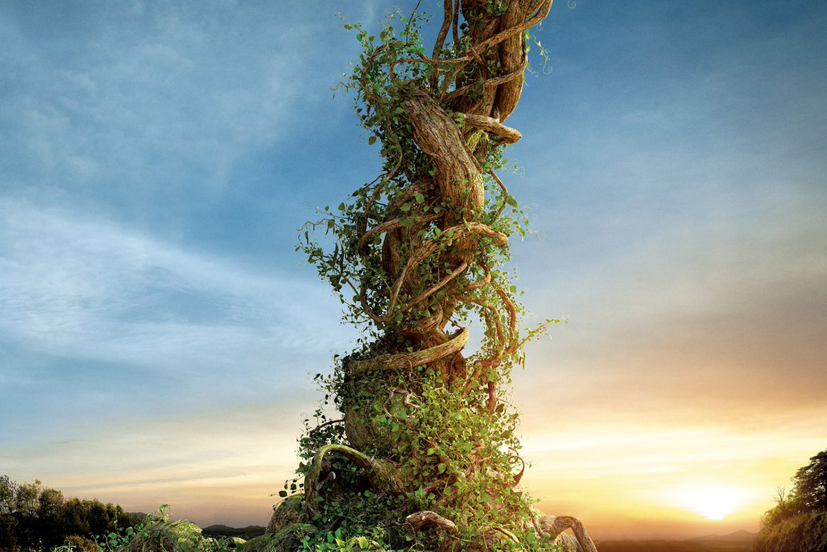 PodtownNft's tweet photo. We are growing a bean stalk .... 
🫘 Keep an eye out for the #discordlinks  and the #whitelisting 
🫘 Keep an eye out for our second artwork reveal along with our team reveal #Buzz 

@Podtownnft @NFTCommunityNFT @Coinbase_NFT @nft @NFTNews1 @garyvee @SnoopDogg https://t.co/SNBfYbffxs