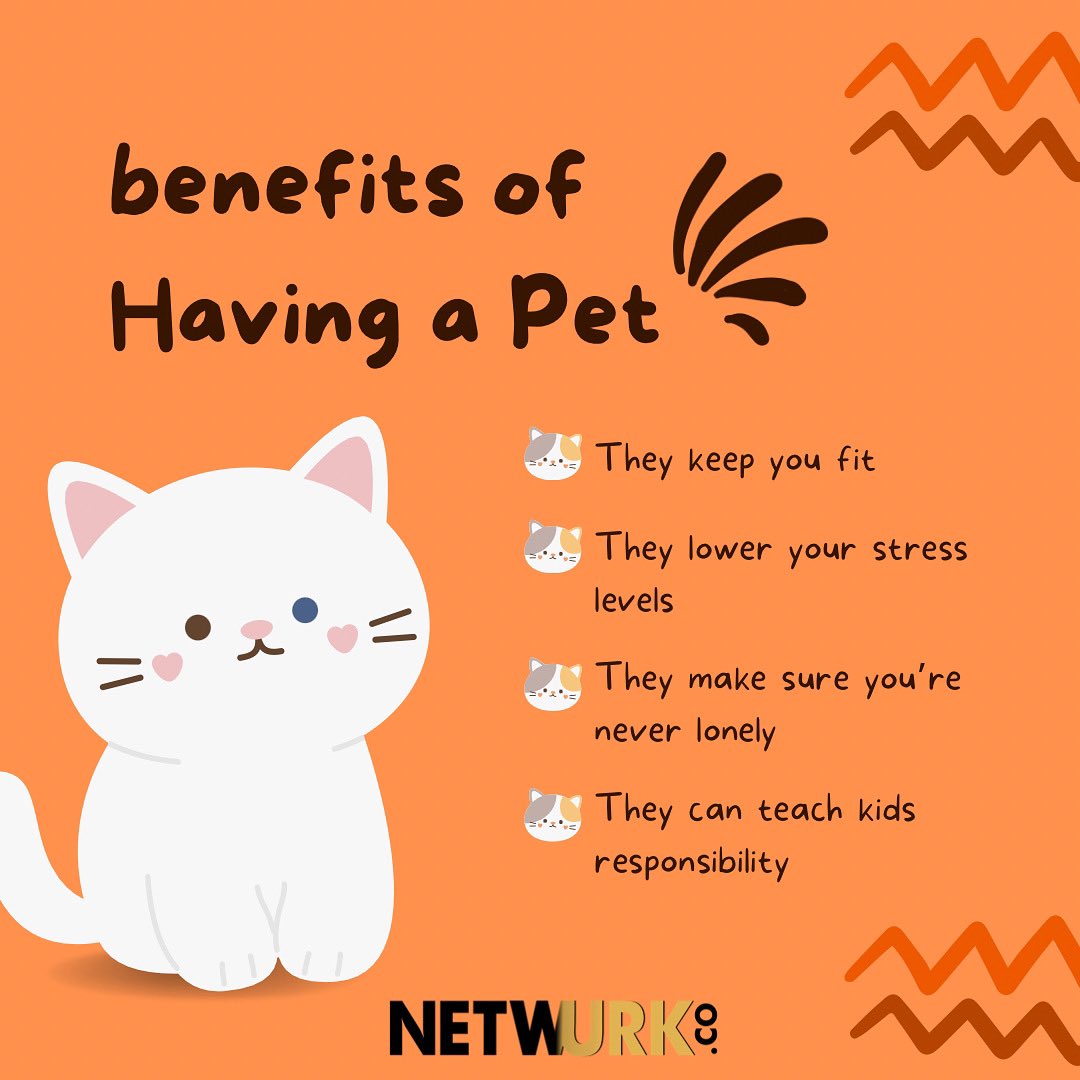 NetwurkCo's tweet photo. 🐱🐶 BENEFITS OF HAVING A PET 🐶🐱

#netwurkco #netwurk #instagram #influencer #influencermarketing #marketing #trends
#trending #genuinecontent #authentic #company #campaigns #brands #instagram #tiktok #facebook #doglover #catlover #cat #dog #animallover #animals #animalsaddict https://t.co/uZX6Agq3yW