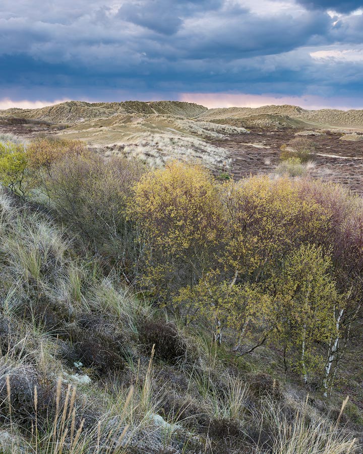 JonGibbsPhoto's tweet image. 🧵WORKSHOPS UPDATE
jon-gibbs.co.uk/assynt-workshop
jon-gibbs.co.uk/norfolk-coast-…

A very brief return here with an openly honest tweet to highlight that I will be keeping bookings open for the above workshops until mid July.
I cannot run these workshops in this current economic situation.....