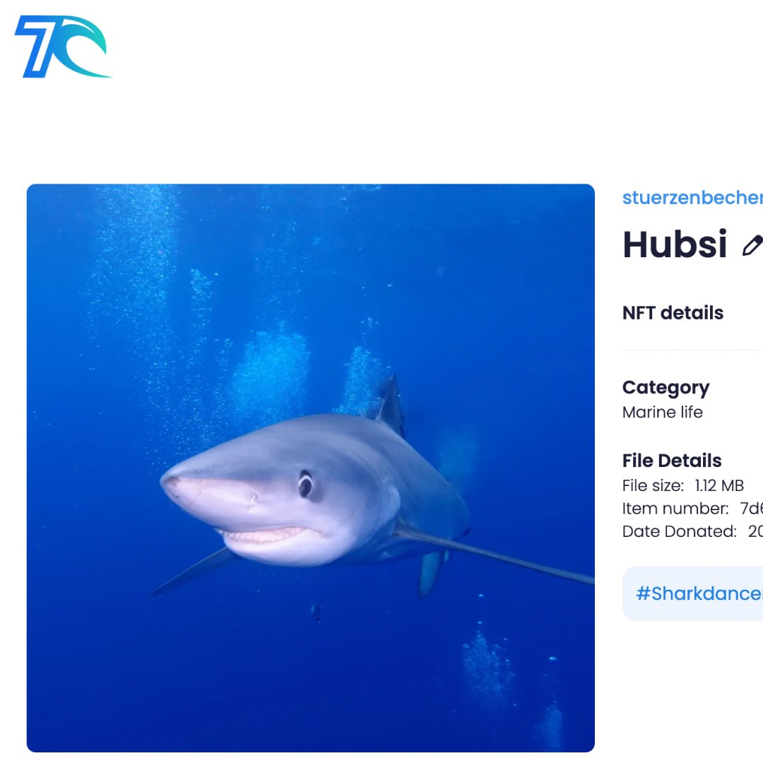 SkytradersC's tweet photo. es sind schon einige Bilder gespendet worden.

Vielen Dank für die Unterstützung.

Save the 7oceans together

https://t.co/N9pIMA2J6q

#7oceans #skytraders #nft #charity #cooperation #farming #7oceanscoin #news #savethe7oceans #chrisredl https://t.co/r4ZCYMYTMt